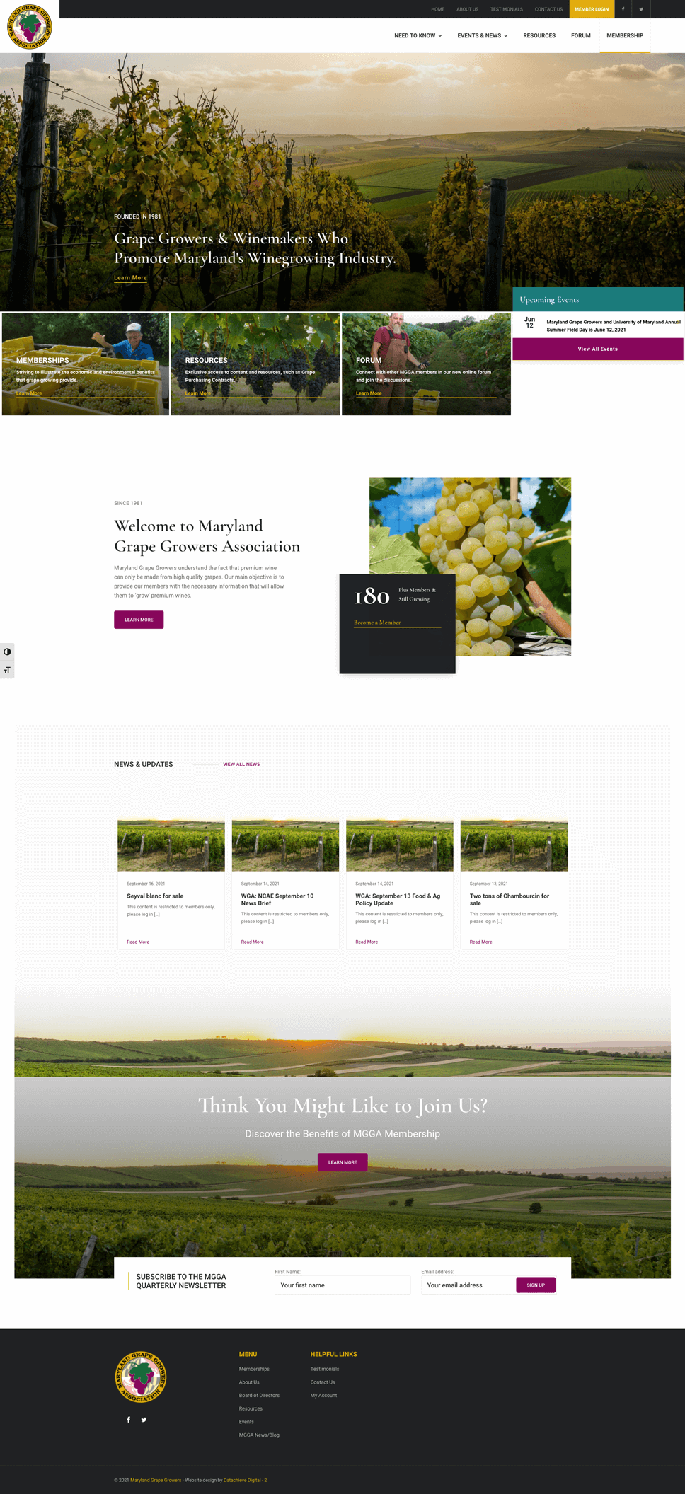 Screenshot of the Maryland Grape Growers Association website homepage featuring a vineyard, menu bar with buttons, welcome text, news updates, and images of grapes and vineyards. The footer contains contact information and logos.