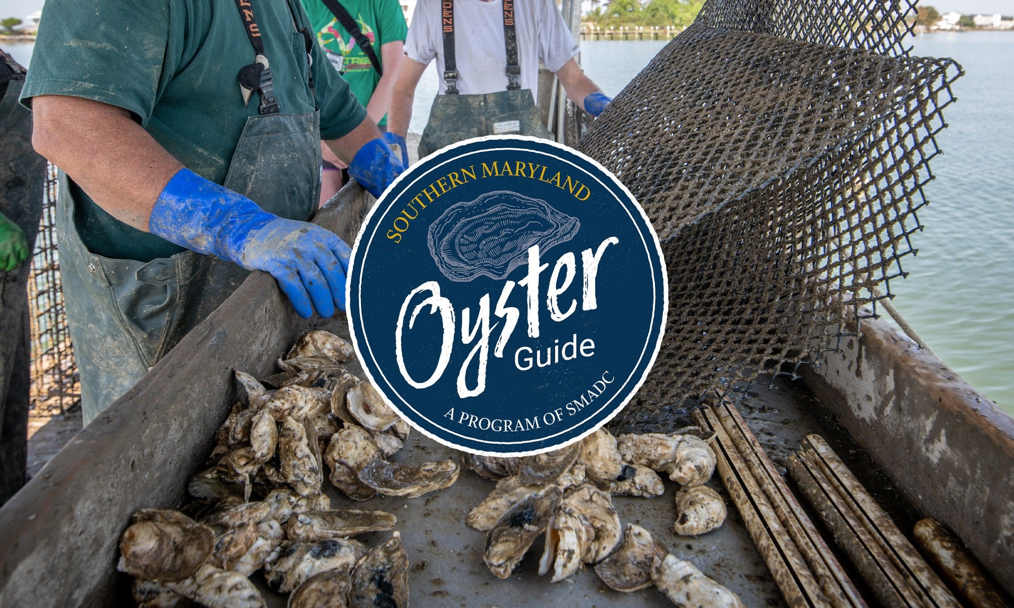 The logo for Southern Maryland Oyster Guide is imposed on top of two people over a bin of oysters