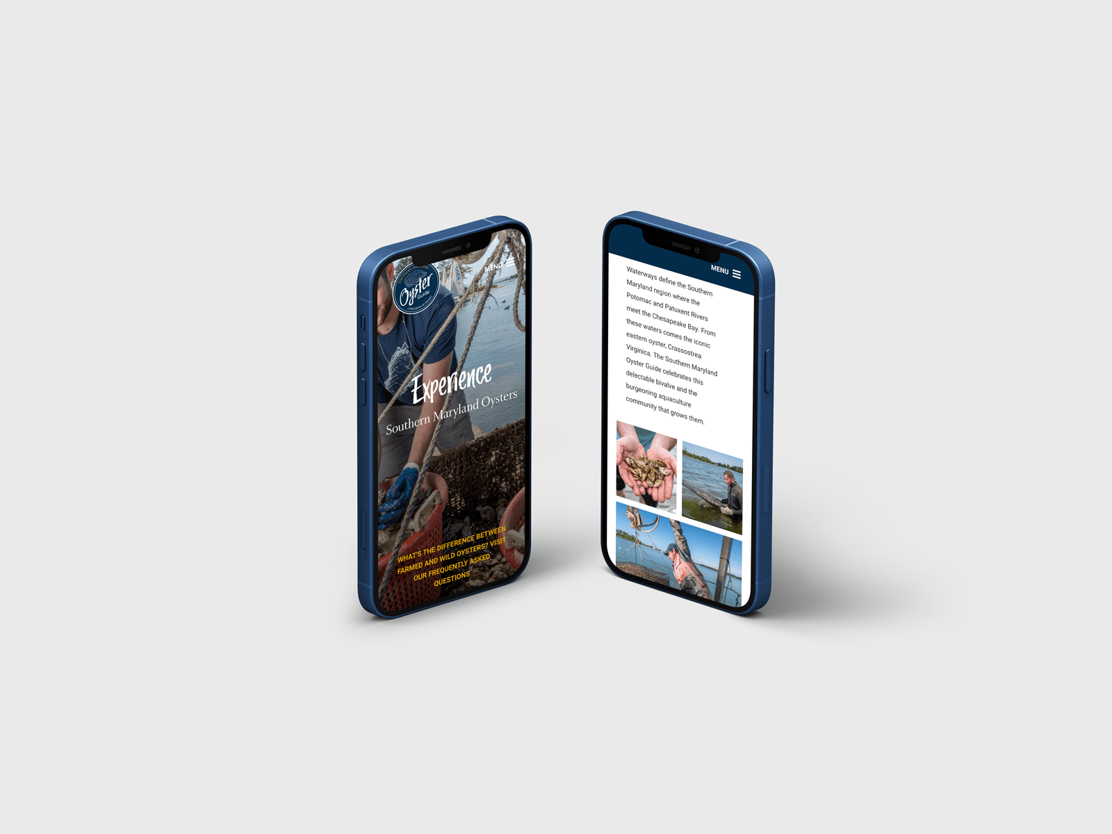 Two smartphones display an app about seafood. The left screen shows a seafood-themed homepage with