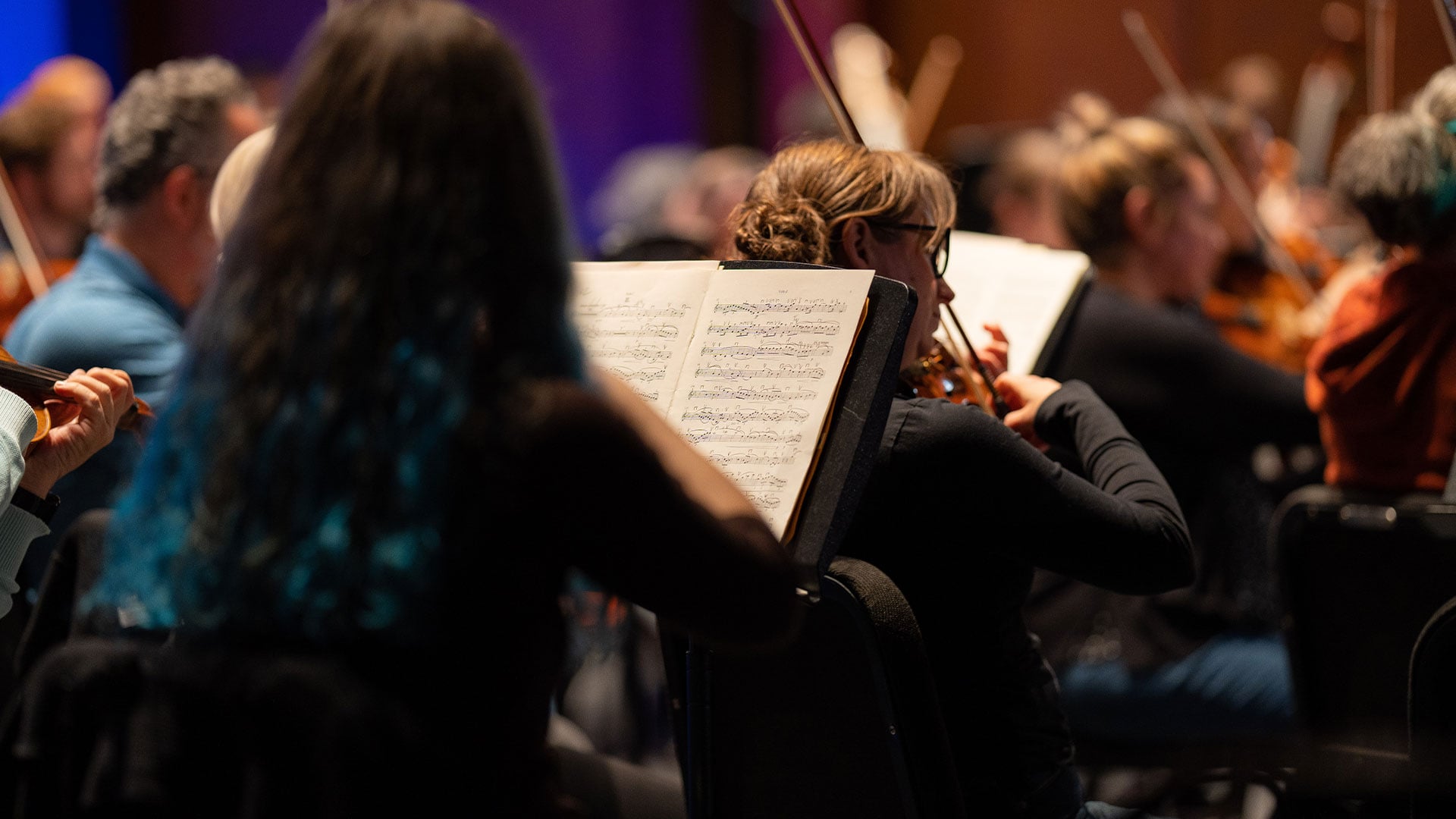 The symphony orchestra, viewed from behind. Several violinists are at set position.