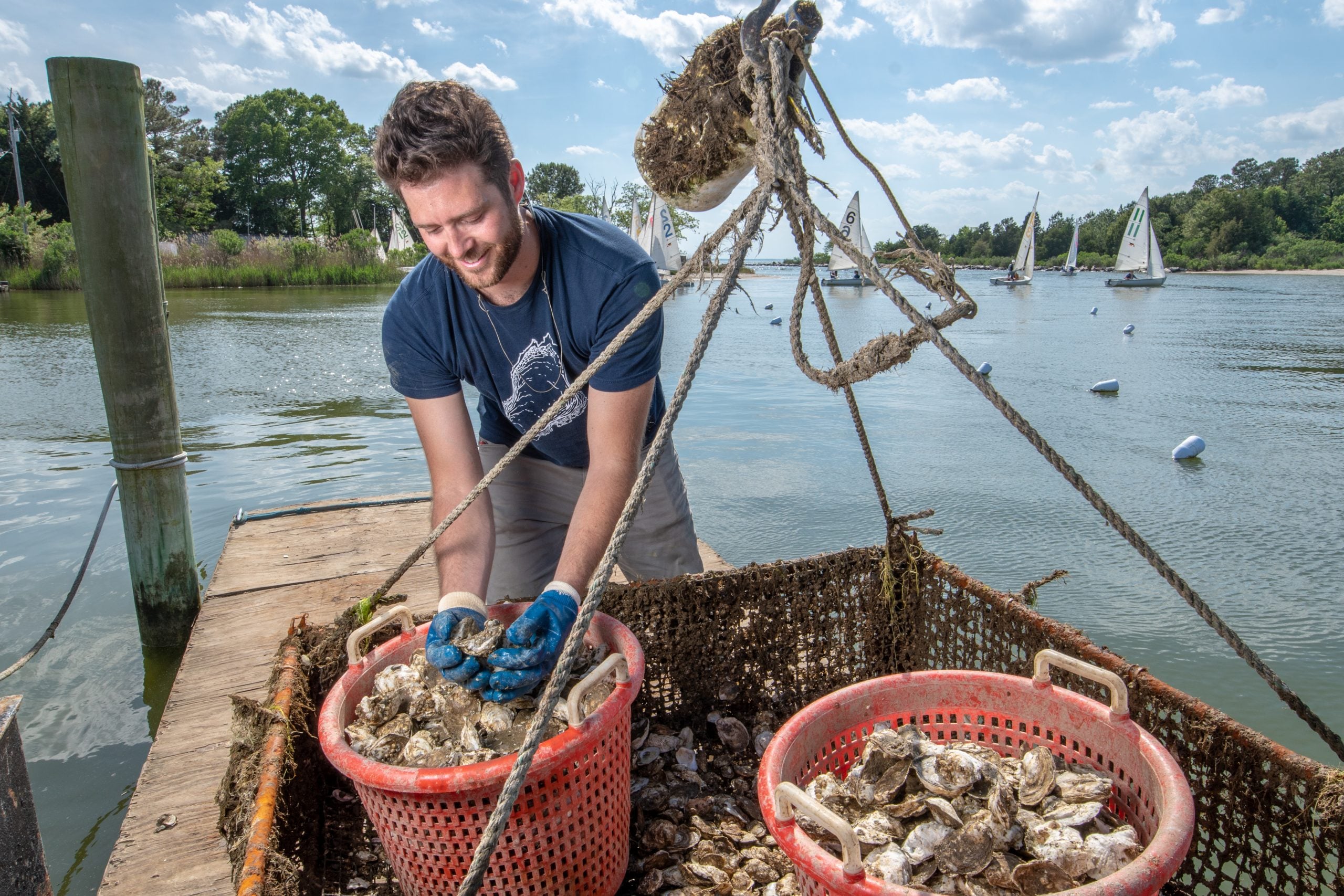 A person wearing gloves is standing on a dock, handling baskets of oysters. A body of water with sailboats and trees is in the background. The sky is partly cloudy.
